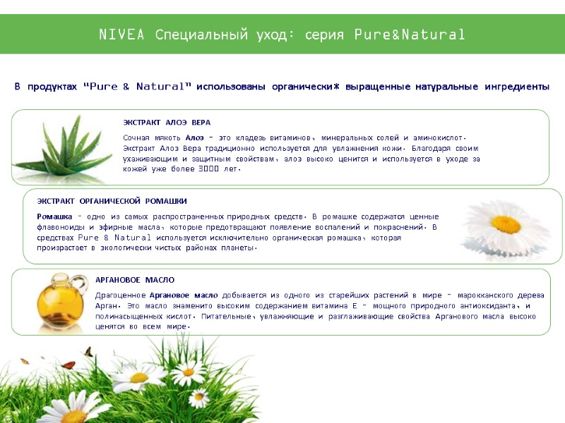 ЭКСТРАКТ ОРГАНИЧЕСКОЙ РОМАШКИ Ромашка – одно из самых распространенных природных средств. В ромашке содержатся